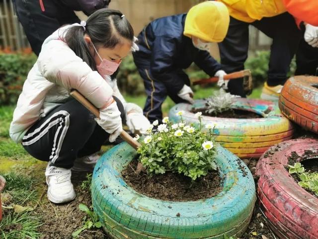 小花园让社区“靓”起来！宝山这里开展亲子种植活动