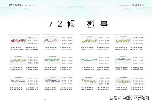 遵循自然物候变化规律，开启高效养蟹新思路！“沃盾72候养蟹法”，十年沉淀总结，助你养好蟹