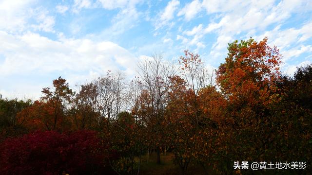 免费游览这个占地近千亩，水禽动物千余只的城市游园，感觉甚好