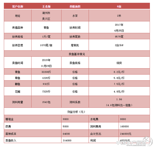 家鱼中的“巨无霸”！这样养，亩利润超8000元