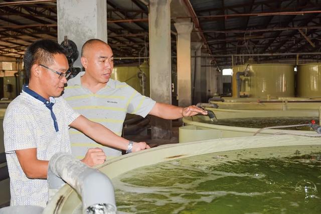 惠州海燕水产：高品质海水鱼养殖走向内陆