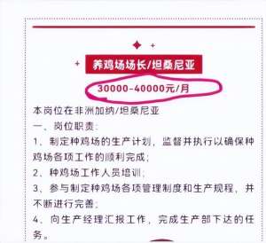 肉鸡养殖招工(企业招人去非洲养鸡月薪4万，专家回应：如果是普通养殖人员，每月工资只有1000多元，但