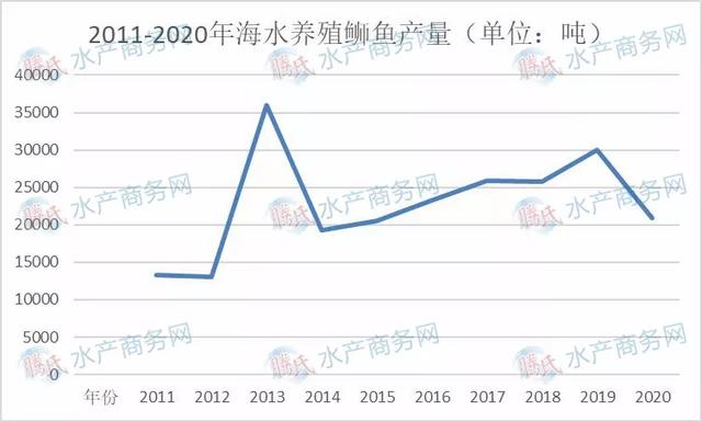 海水养殖十大鱼类产量变化大，大黄鱼跃涨首位，石斑鲈鱼争二三