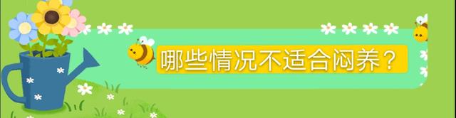 多肉玉露冬季不会养？教你闷养玉露，30天可以让玉露晶莹剔透