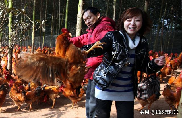 央视的这套节目，到底是致富经还是“致负经”？为啥农民一试就赔