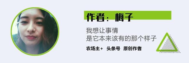 1800万只竹鼠判死缓，10万养殖户生计和20亿生意