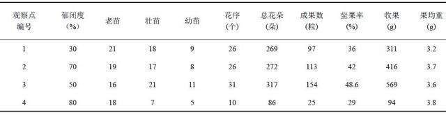 阳春砂仁的栽培管理与采收加工