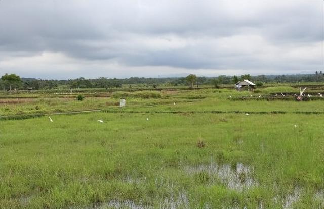 为保障农村种植用地，10月开始严查养殖用地？严打8类养殖场