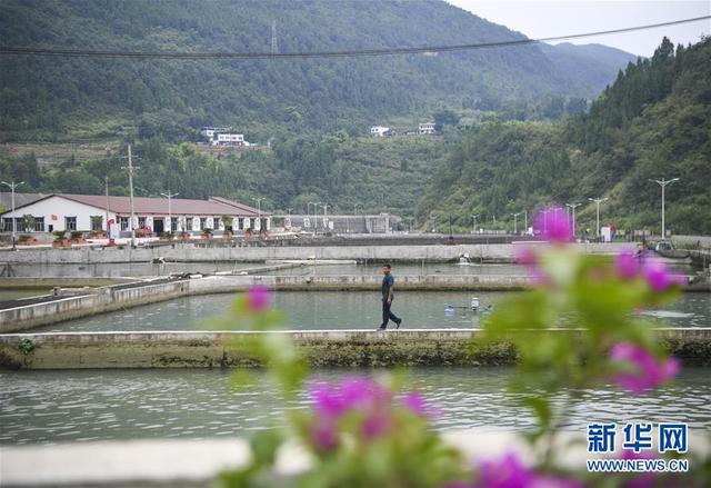 蒋开均：冷水鱼养出重庆山区“热经济”