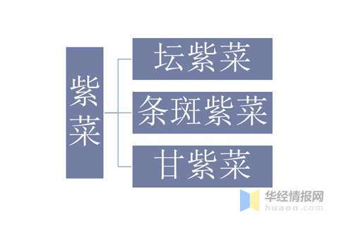 紫菜养殖业发展现状及前景分析，紫菜养殖未来大有可为「图」