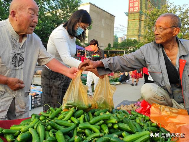 农民种植水果黄瓜，有前景没销路，无意间成就农村大叔好生意