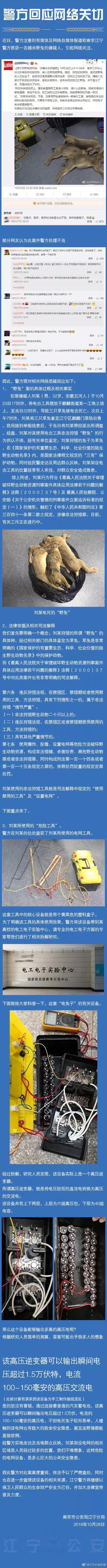 男子看直播后抓了3只野兔，警方将他刑拘，网友疯狂点赞！