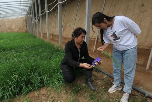 山东一51岁南京大学博士包400亩地养蚯蚓！为此曾放弃高薪讲师工作