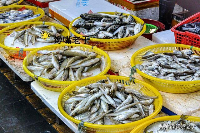 冬天买鱼，这5种鱼都是野生海鱼，不能人工养殖，遇到后不要错过