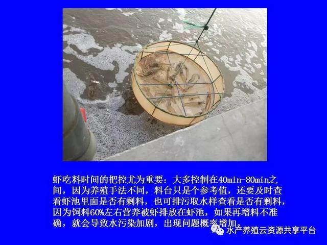 纯干货：南美白对虾工厂化养殖技术大全