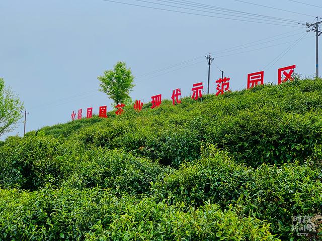 时政新闻眼丨决战决胜脱贫攻坚，习近平到这个镇“解剖麻雀”