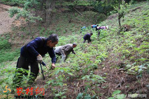 周尤南：“我喜欢宁强的人文和山水”