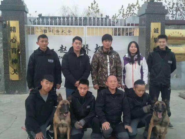 河北赵州桥犬业李浩：忠诚能长久，实在才常在（图文）