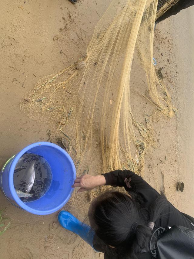 探钓东江摸鱼行动，过程惊险刺激，酸爽