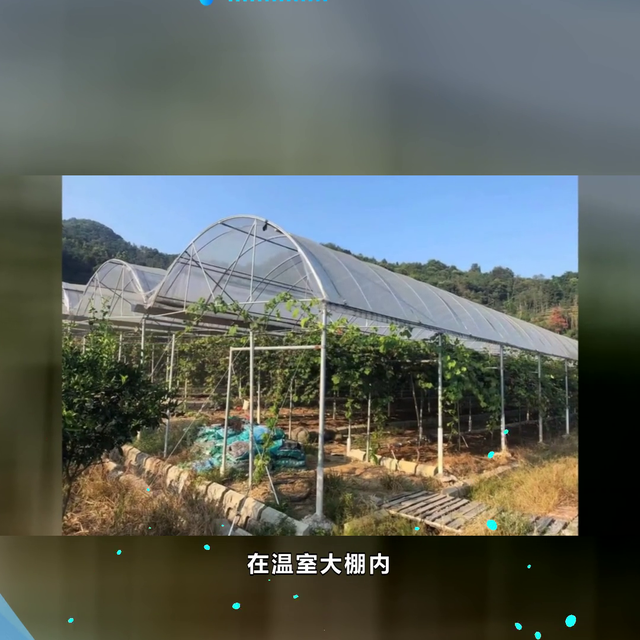 连栋温室大棚搭建方法外形简洁美观  #新化大棚钢管多少钱一平方