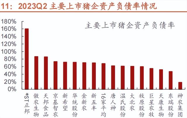 25家上市猪企已负债4700亿元！未来养殖头均盈利仅20元，猪业资本背后的市场、价格与真相