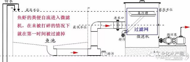 水产无小事！循环水养殖做好这些细节或能帮你省下不少钱