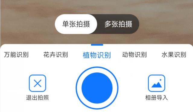有什么识别植物的软件推荐？建议收藏这些识别植物的软件app