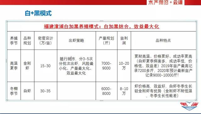 亩产超13000斤，金刚虾养殖热情大爆发