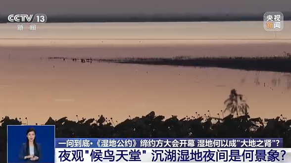 一问到底丨湿地何以成为“大地之肾”？我们应如何保护湿地？