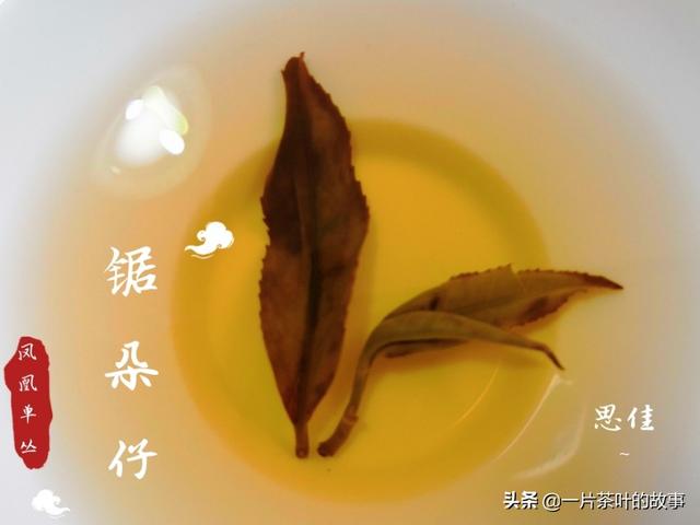 何解命名为“乌龙茶”？追溯于三个历史传说