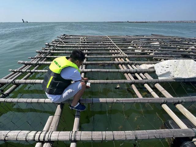 广西：“数字大脑”赋能“海洋牧场”建设 钦州大蚝产业发展驶入“快车道”