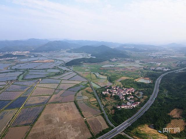 云遇中国·三夏之约｜江西彭泽：“小龙虾”铺就乡村振兴“富民路”