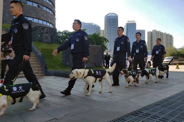 搜爆犬护航“山旅会”“无言战友”好帮手