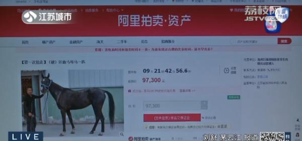 活体汗血马9.37万元起拍！但可不是想买就能买……