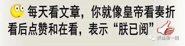 鱼类饲料营养(二)：鱼类饲料种类和蛋白质原料养殖效果与使用限量