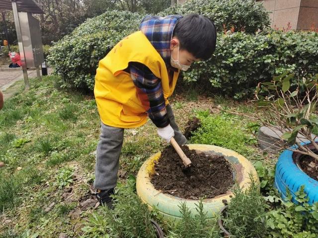 小花园让社区“靓”起来！宝山这里开展亲子种植活动