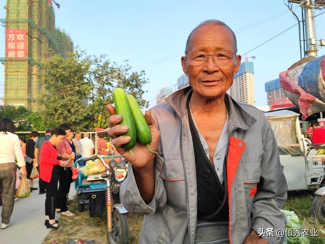 农民种植水果黄瓜，有前景没销路，无意间成就农村大叔好生意