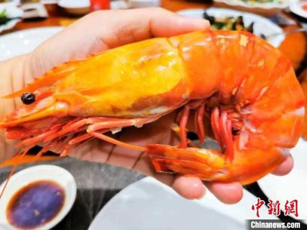 广东台山：“花鬼虾”鲜甜爽脆 食客直呼“好过瘾”