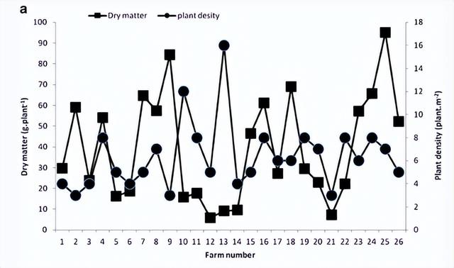 南非农田种植的班巴拉花生共生氮营养、碳同化和植物水分利用效率