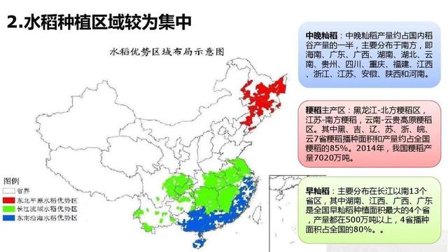 我国是粮食大国，为何水稻亩产量却比不上美国？是水稻有问题吗？