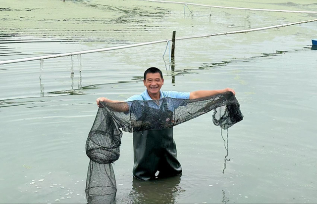 太仓秋日美食顶流来了！又大又肥，单只价格→