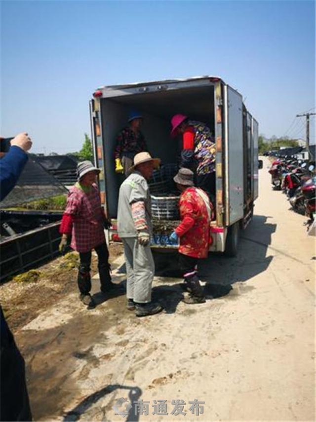 启东市惠萍镇南清河村在扣蟹养殖的基础上，引进水蛭养殖基地