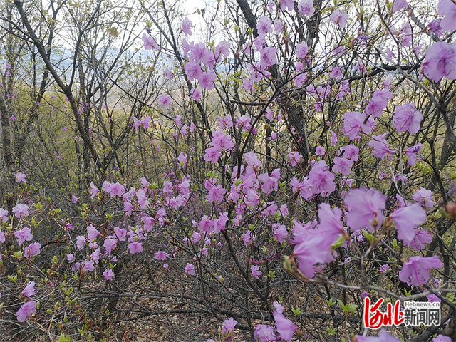 西底沟风华