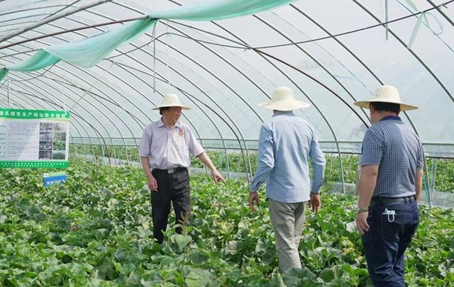 南京浦口：“院士天团”为农业农村现代化装上强引擎