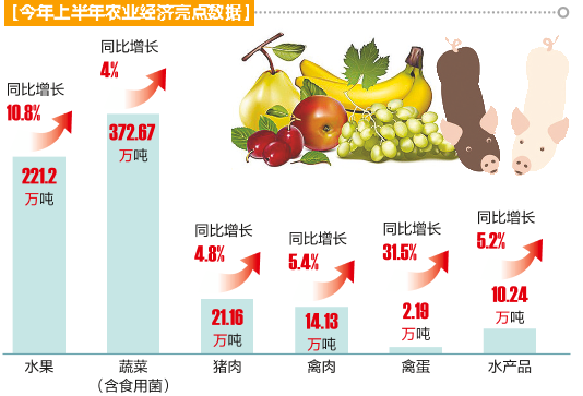 “菜篮子”“肉案子”管够！今年上半年南宁市农林牧渔总产值同比增长4.1%