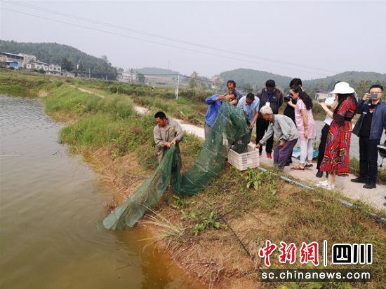 四川德阳黄鹿镇因地制宜发展水产养殖 带动贫困户就业增收