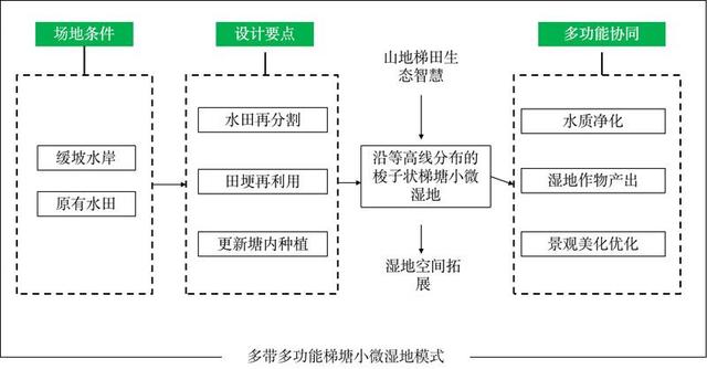 小微湿地激活自然生命——重庆梁平小微湿地修复的探索实践