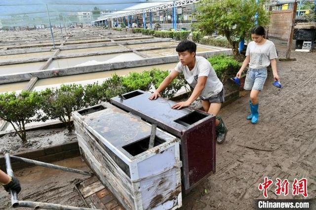 “中国金鱼之乡”福州闽侯：民众展开生产自救 生活秩序陆续恢复