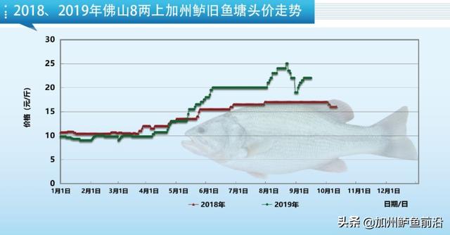 今年最“吸金”的鱼之一！加州鲈养殖11个要点分享，建议收藏