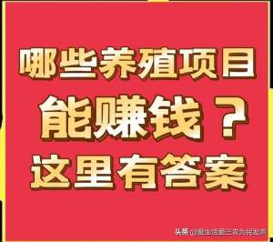 特种野猪养殖加盟(哪些养殖项目可投资、哪些项目要谨慎、哪些不能做？(1))